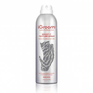 iGroom Boost It Texture Aerosol Spray 207ml- aerosols matu apjoma palielināšanai